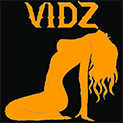 Vidz related articles application icon